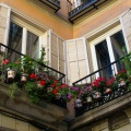 Mme en ville, optez pour un balcon fleuri !